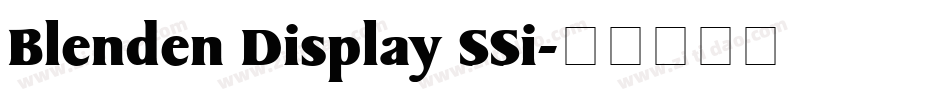 Blenden Display SSi字体转换